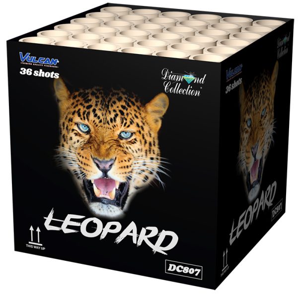 Leopard